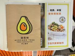 -油梨树 AVOCADO TREE(亮马桥店)
