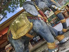 -云南勐巴娜西珍奇园