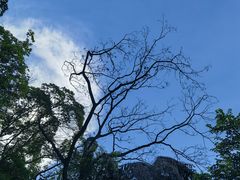 -广州市白云山风景名胜区