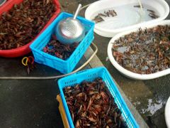 -虾女王·龙虾·烧烤(龙江店)