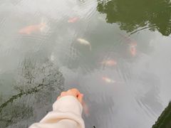-杭州西湖柳莺里酒店