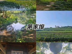-茅家埠