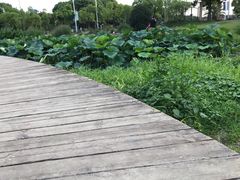 -美兰湖景区