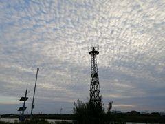 -芦潮港集贸市场