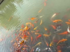 -嘉北郊野公园