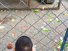-长白岛森林公园