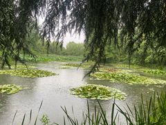 -洛阳市隋唐城遗址植物园