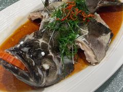 -南海渔村(珠江新城店)
