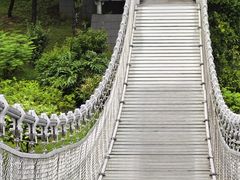 -东莞植物园