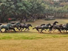 -广州雕塑公园