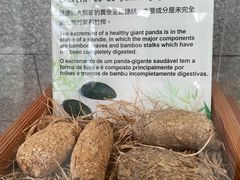 -石排湾郊野公园