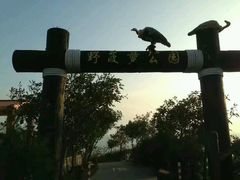 -放鸡岛生态旅游国际度假区