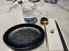 -MR鹅外