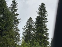 -新疆那拉提国家旅游度假区