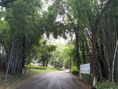 -广西壮族自治区药用植物园