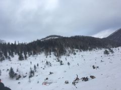 -雪谷