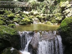 -牛背梁国家森林公园