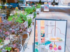 -PAUL LAFAYET 法式甜品(港汇广场店)