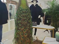 -肃宁华斯国际裘皮城