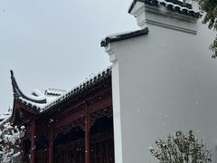 -八大山人梅湖景区