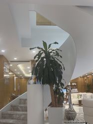 点击看大图 -智美品质医美