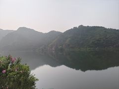 -燕塞湖鸟语林景区