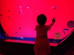 -沈阳海洋探索中心