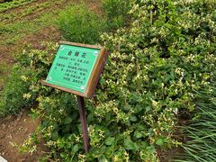 -封龙山风景区