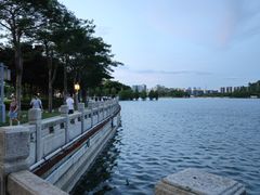 -顺峰山公园
