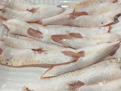 -章记正宗南岗鱼蛋火锅