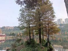 -重庆彩云湖湿地公园