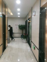 -雍禾植发