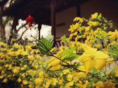 景点-穹窿山景区