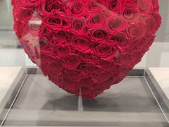 -ROSEONLY诺誓(国际广场购物中心店)