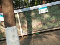 -北京八中游泳馆