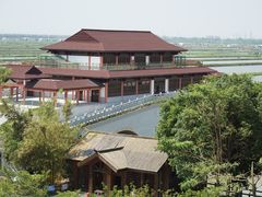 -大湾区中央湿地公园