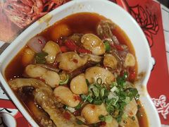 -李双猪·小龙虾·烧烤·羊肉煲(乐山店)