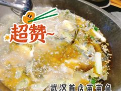 -石锅苗苗鱼(武汉首店)