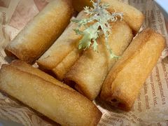 -鸽小宝(深圳首店)