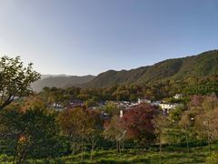 -塔川景区
