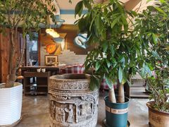 -慢丽江·云南野生菌土鸡锅(付家庄店)