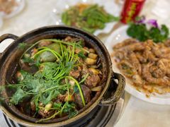 渝君鸡煲-渝君重庆火锅(嘉宾路店)