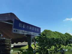 -水岸居湖景农家乐·阳澄湖大闸蟹
