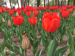 -长春公园(普阳街道)