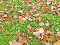 -上海静安大悦城