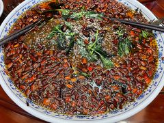 杨记招牌鱼-杨记隆府(白象街店)