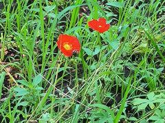 -长春公园(普阳街道)