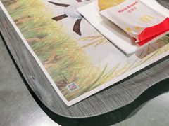 -麦当劳(北京大兴机场二层国内到达(安检外)店)