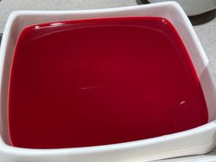 -海底捞火锅(铁西万达店)