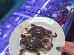 -海韵之星邮轮水会(明发商业广场店)